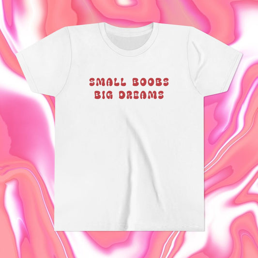 Small Boobs Big Dreams Y2K Baby Tee